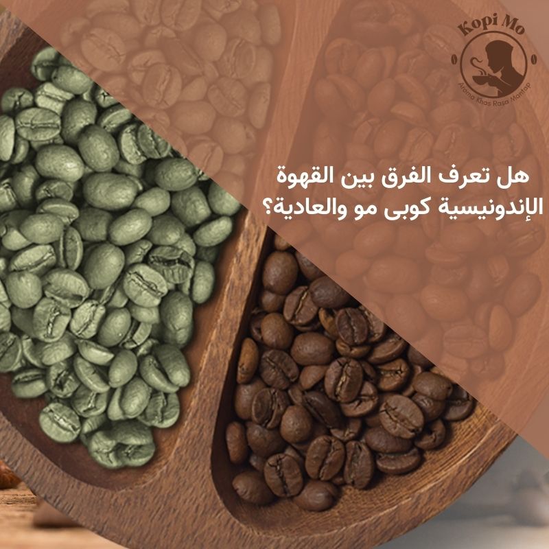 هل تعرف الفرق بين القهوة الإندونيسية كوبى مو والعادية؟ (1)