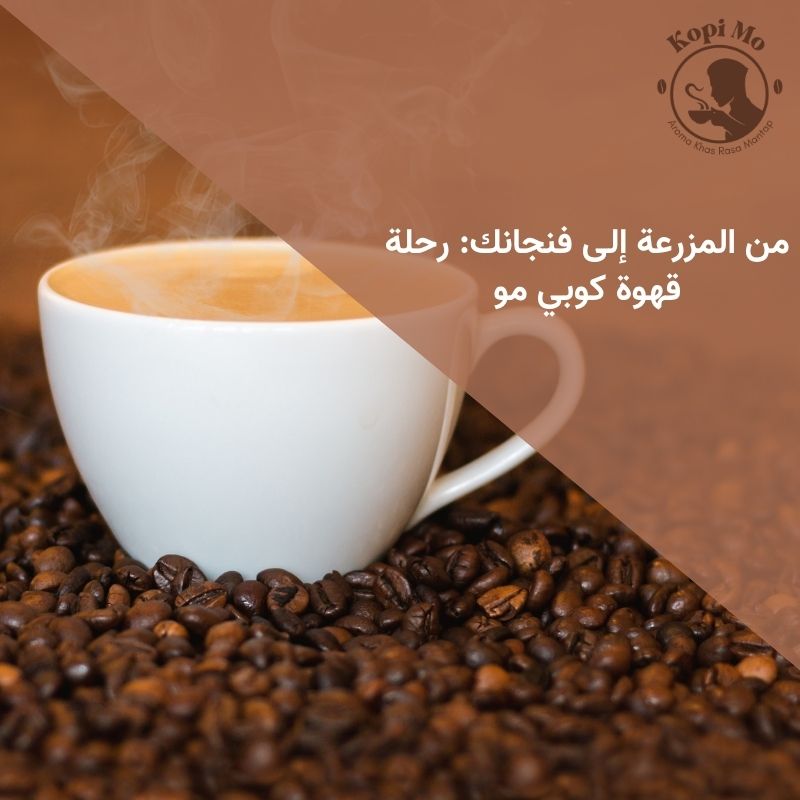 من المزرعة إلى فنجانك: رحلة قهوة كوبي مو