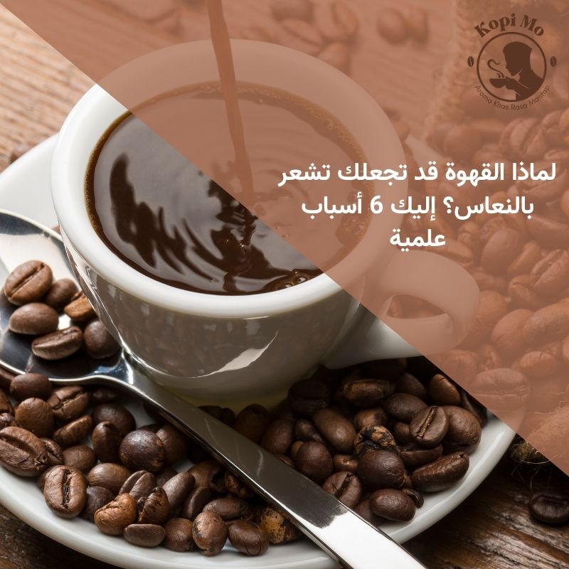 لماذا القهوة قد تجعلك تشعر بالنعاس؟ إليك 6 أسباب علمية