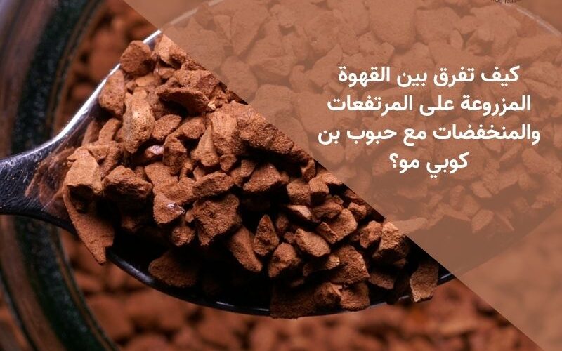 كيف تفرق بين القهوة المزروعة على المرتفعات والمنخفضات مع حبوب بن كوبي مو؟